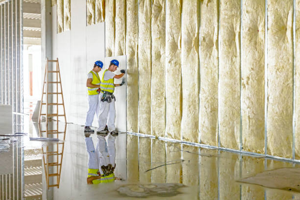 Best Cellulose Insulation in Broadlands, VA